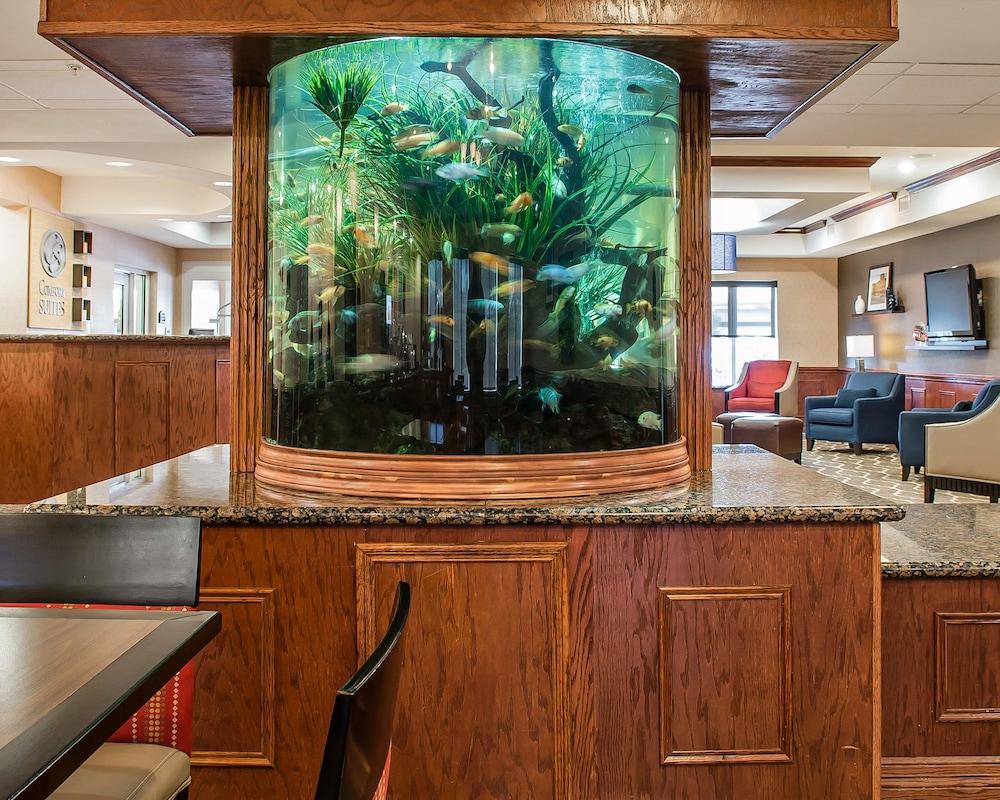 Comfort Suites Near Texas A&M - Κόρπους Κρίστι Εξωτερικό φωτογραφία