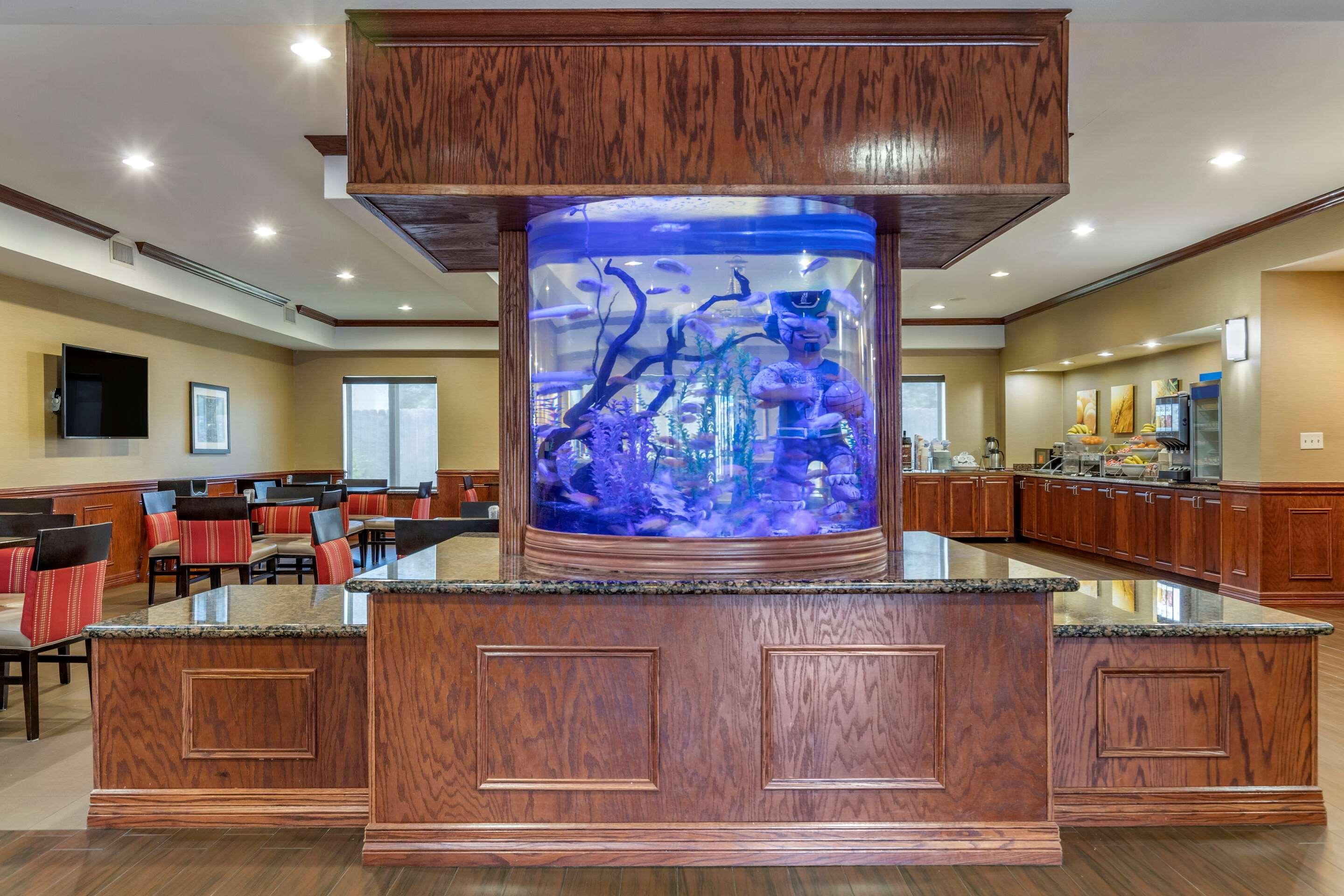 Comfort Suites Near Texas A&M - Κόρπους Κρίστι Εξωτερικό φωτογραφία